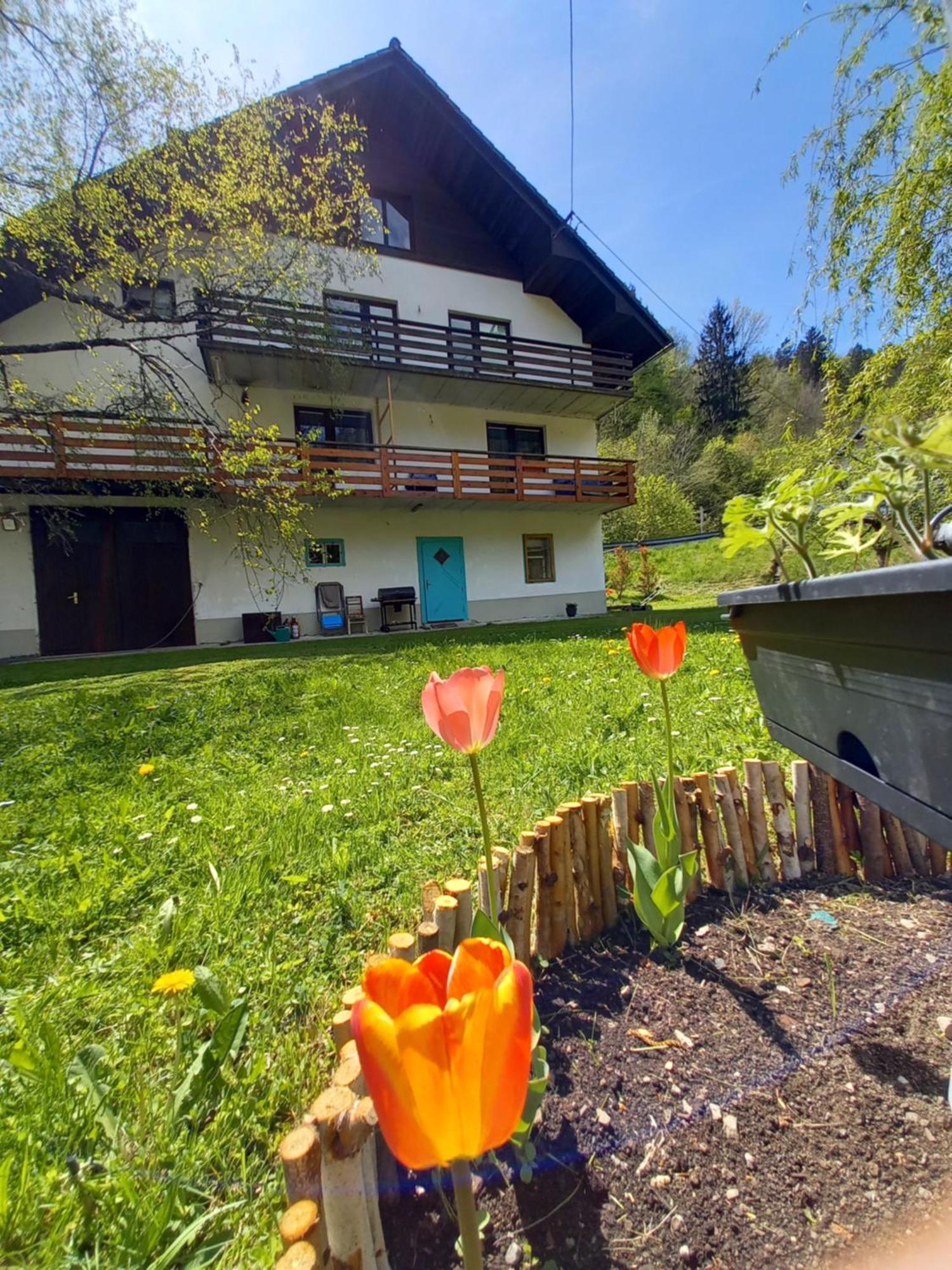 The Riverside Chill Hostel Блед Экстерьер фото